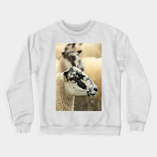 More Sheep Crewneck Sweatshirt
